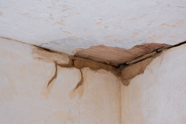 Best Emergency water damage restoration  in Pleasant Hill, TX