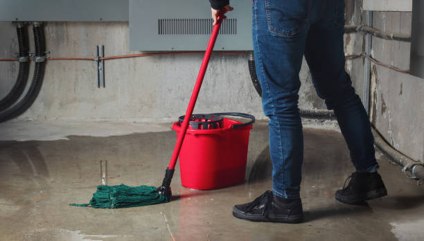 Best Sewage cleanup and water damage restoration  in Pleasant Hill, TX
