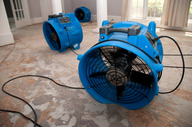 Best Water damage cleanup near me  in Pleasant Hill, TX