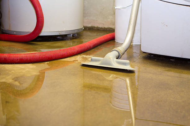 Best Professional water damage repair  in Pleasant Hill, TX