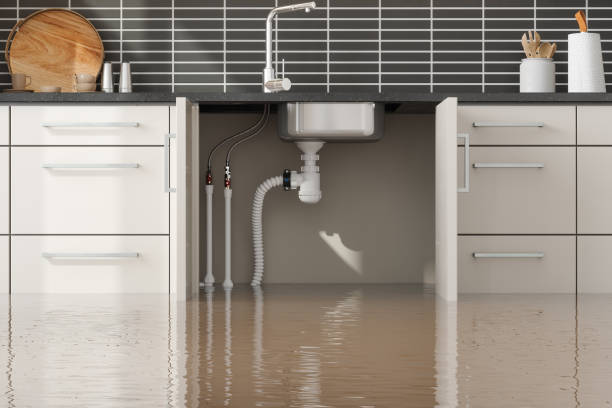 Best Flooded house restoration  in Pleasant Hill, TX
