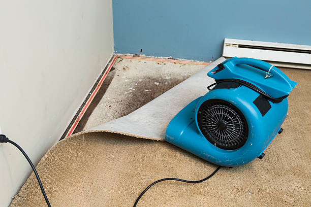 Best Residential water damage restoration  in Pleasant Hill, TX